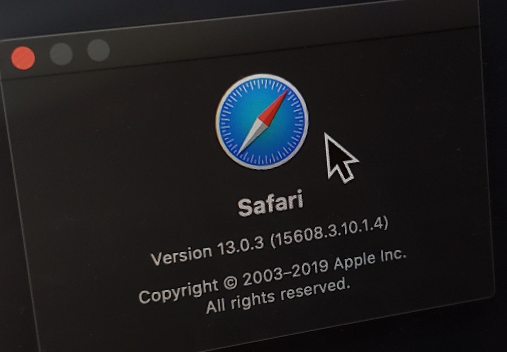 safari